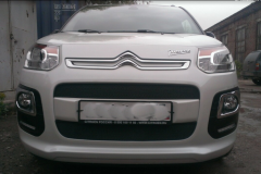 Защита радиатора "Standart" Citroen C3 Picasso (2012-2016) чёрная